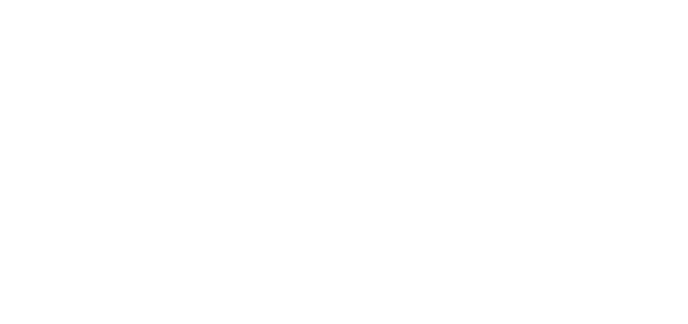 Spice Traders logo