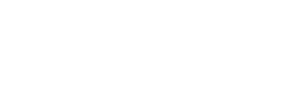 skechers new zealand stockists