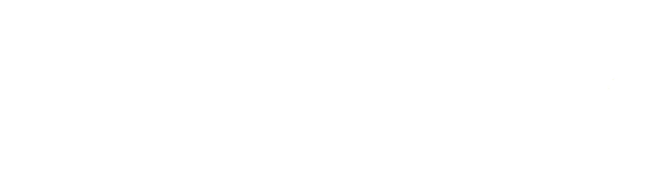 Stirling Sports logo