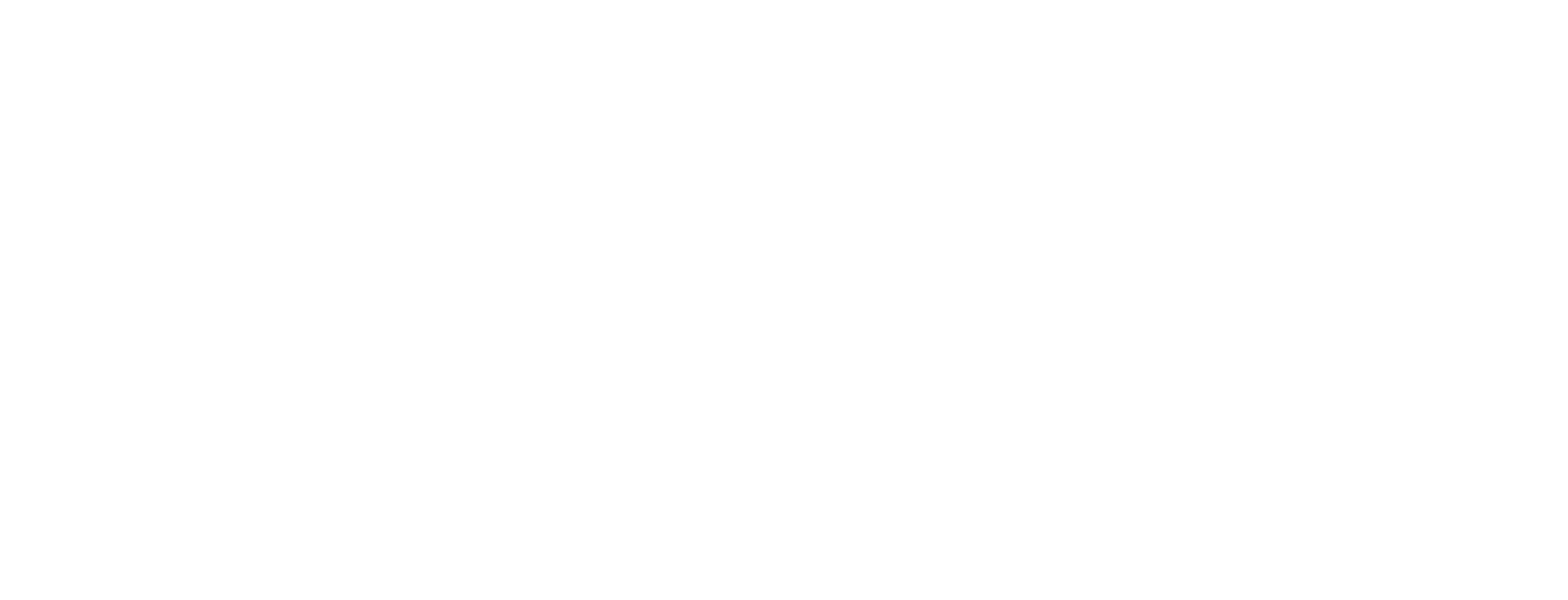 Vish Beauty Bar logo